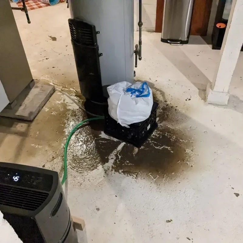 Sewage Backup Cleanup Service in Evergreen Park, IL